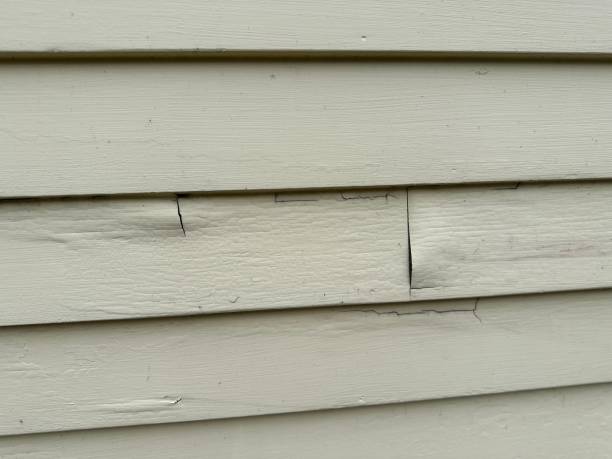 Best Siding Removal and Disposal  in Whitehouse, TX